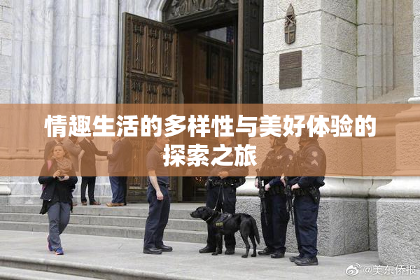 情趣生活的多样性与美好体验的探索之旅