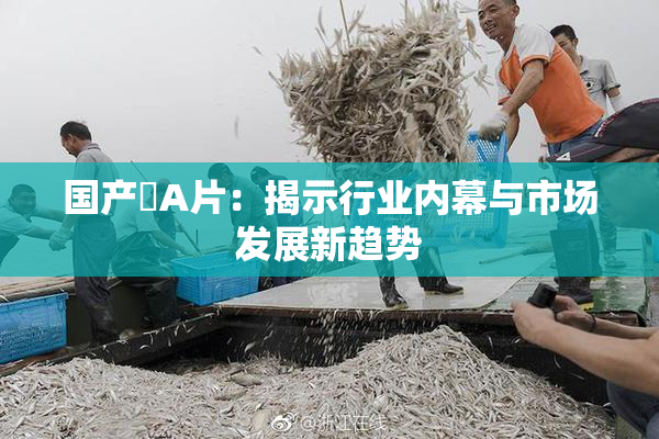 国产婬A片：揭示行业内幕与市场发展新趋势