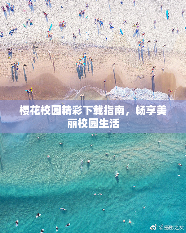 樱花校园精彩下载指南，畅享美丽校园生活