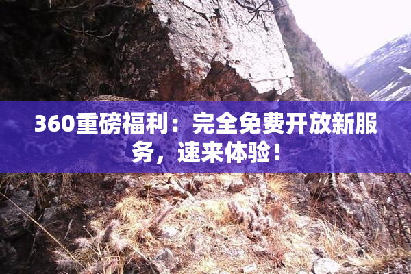 360重磅福利：完全免费开放新服务，速来体验！