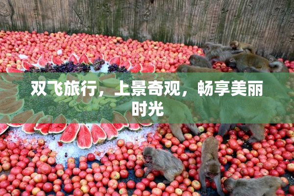 双飞旅行，上景奇观，畅享美丽时光