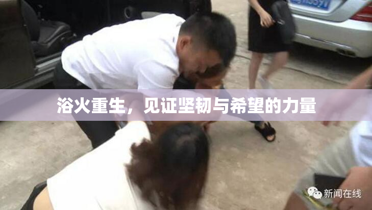 浴火重生，见证坚韧与希望的力量