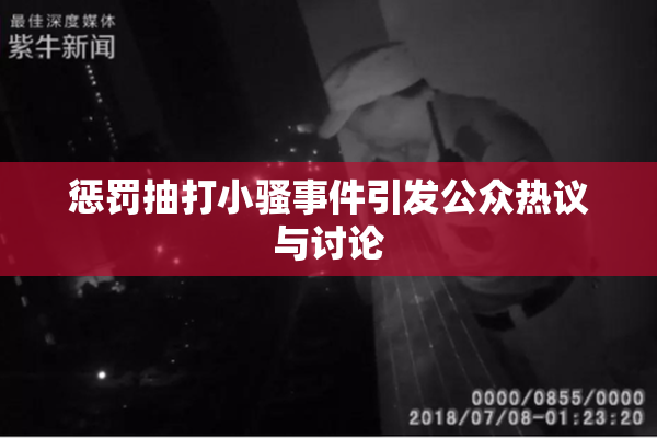 惩罚抽打小骚事件引发公众热议与讨论