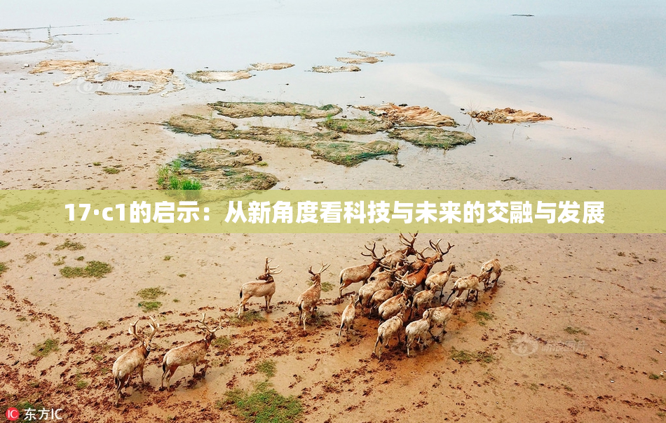 17·c1的启示：从新角度看科技与未来的交融与发展