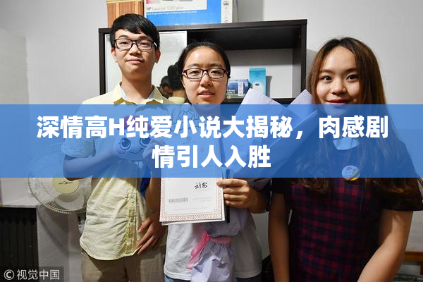 深情高H纯爱小说大揭秘，肉感剧情引人入胜