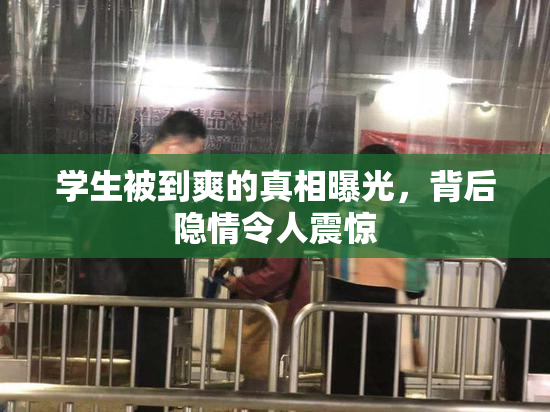 学生被到爽的真相曝光，背后隐情令人震惊