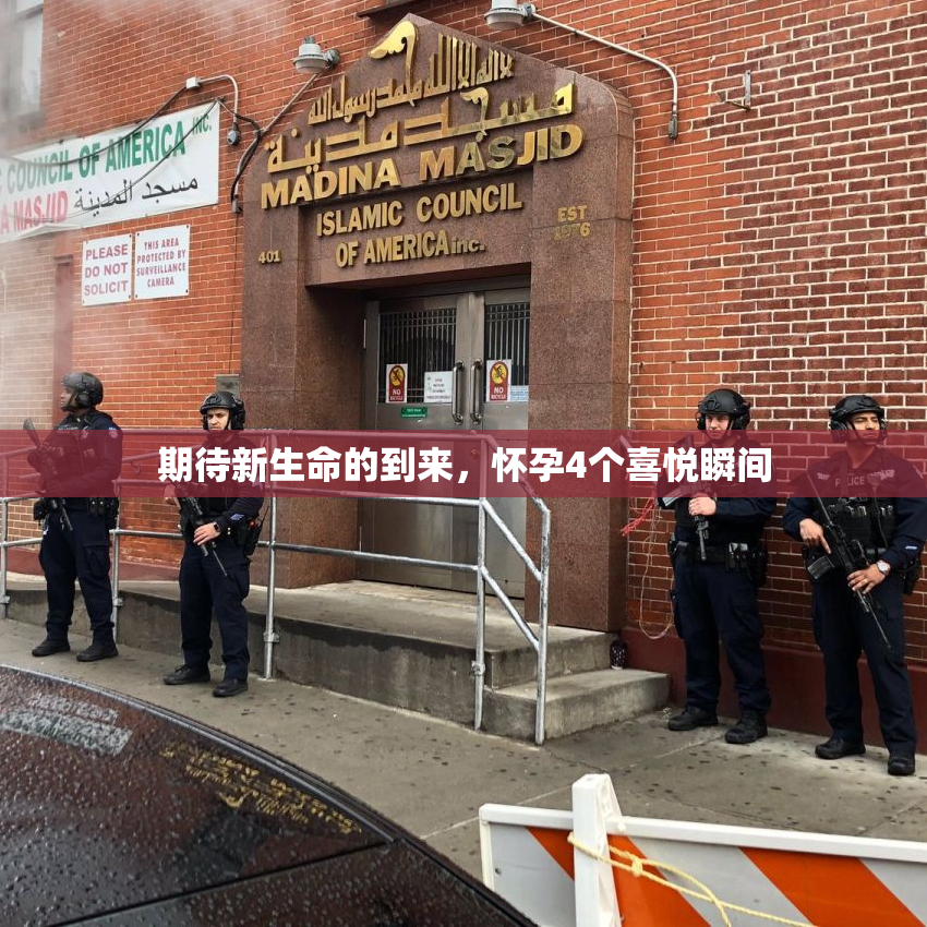 期待新生命的到来，怀孕4个喜悦瞬间