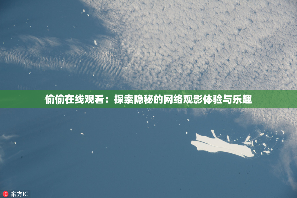 偷偷在线观看：探索隐秘的网络观影体验与乐趣