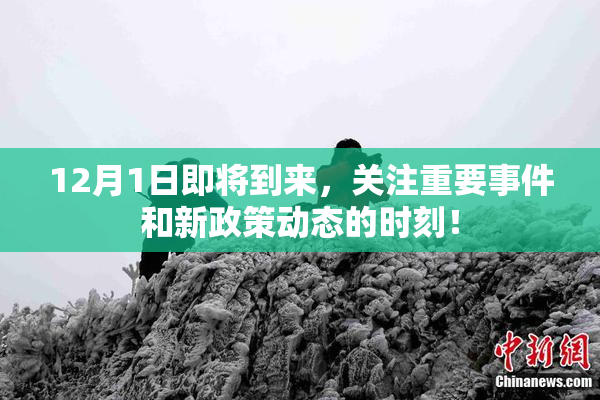 12月1日即将到来，关注重要事件和新政策动态的时刻！