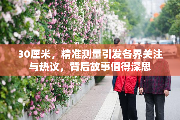 30厘米，精准测量引发各界关注与热议，背后故事值得深思