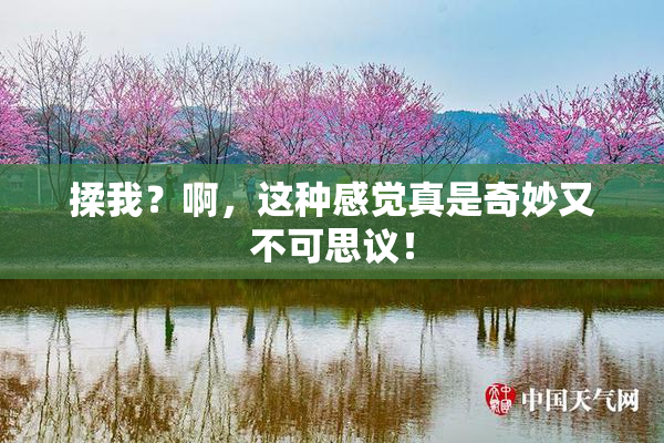 揉我？啊，这种感觉真是奇妙又不可思议！