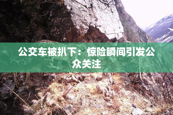 公交车被扒下：惊险瞬间引发公众关注