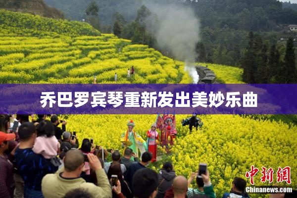 乔巴罗宾琴重新发出美妙乐曲