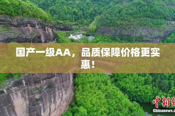 国产一级AA，品质保障价格更实惠！