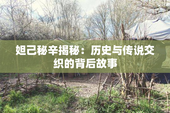 妲己秘辛揭秘：历史与传说交织的背后故事