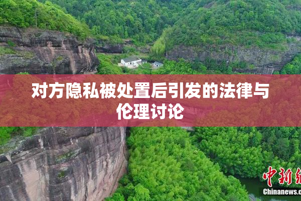 对方隐私被处置后引发的法律与伦理讨论