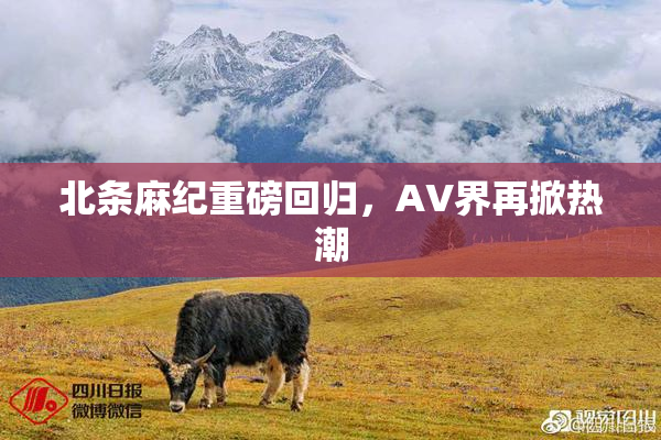 北条麻纪重磅回归，AV界再掀热潮