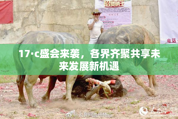 17·c盛会来袭，各界齐聚共享未来发展新机遇