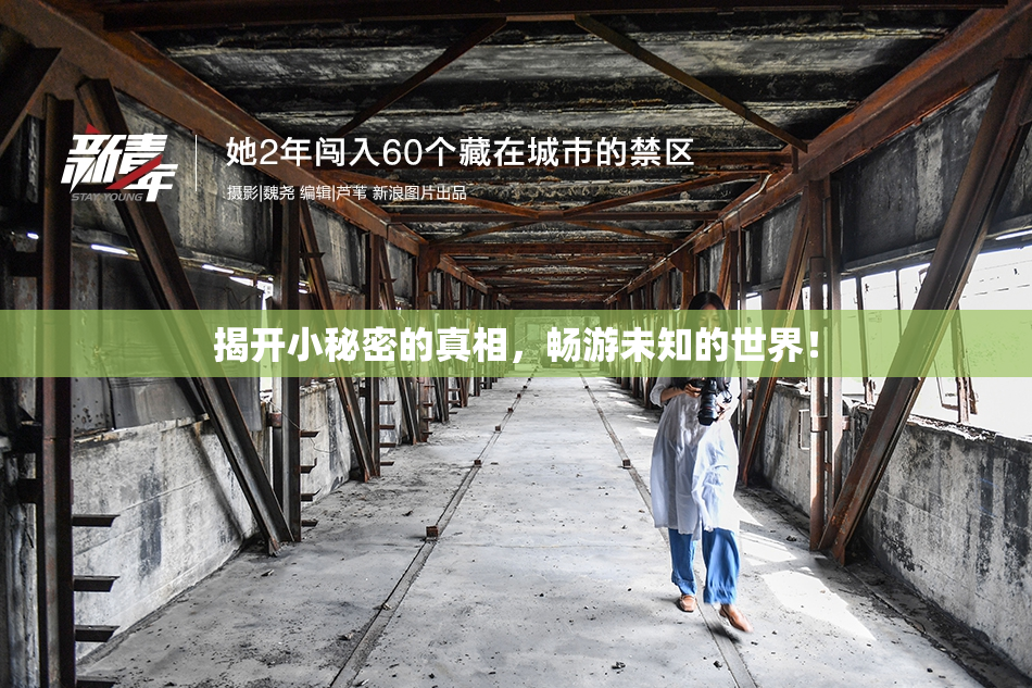 揭开小秘密的真相，畅游未知的世界！