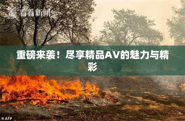 重磅来袭！尽享精品AV的魅力与精彩