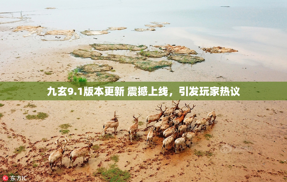 九玄9.1版本更新 震撼上线，引发玩家热议
