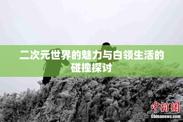 二次元世界的魅力与白领生活的碰撞探讨