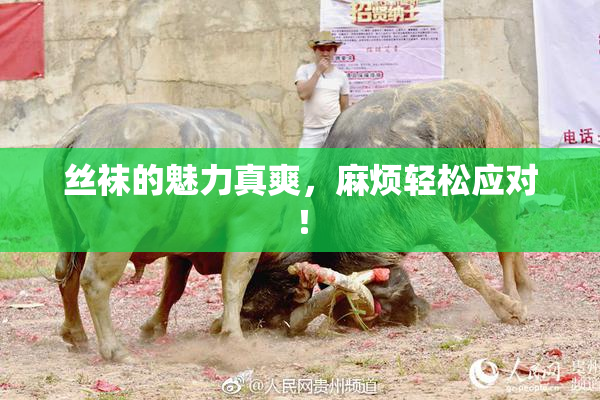 丝袜的魅力真爽，麻烦轻松应对！