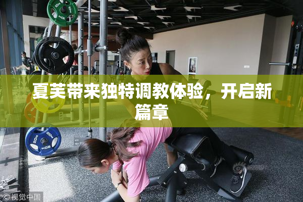 夏芙带来独特调教体验，开启新篇章