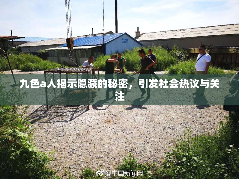 九色a人揭示隐藏的秘密，引发社会热议与关注