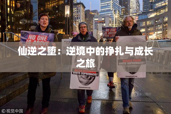 仙逆之堕：逆境中的挣扎与成长之旅