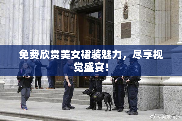 免费欣赏美女裙装魅力，尽享视觉盛宴！