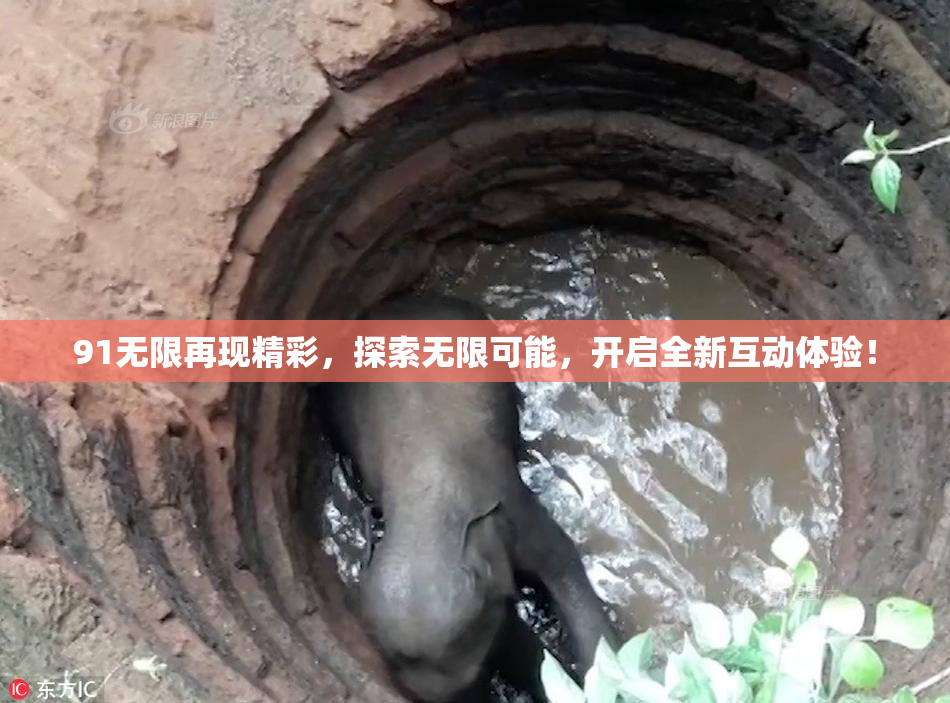 91无限再现精彩，探索无限可能，开启全新互动体验！