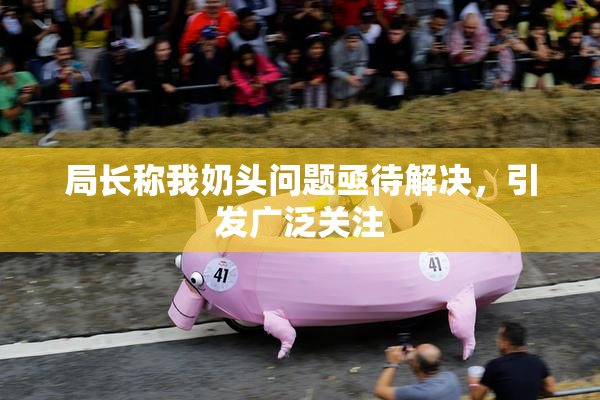 局长称我奶头问题亟待解决，引发广泛关注