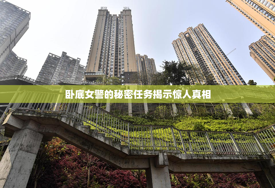 卧底女警的秘密任务揭示惊人真相