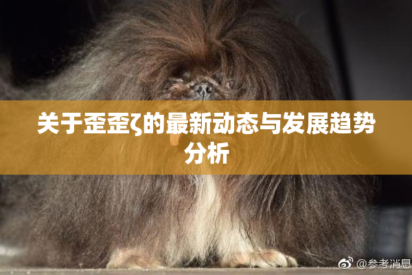关于歪歪ζ的最新动态与发展趋势分析