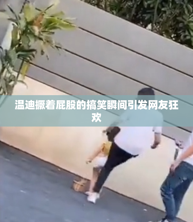 温迪撅着屁股的搞笑瞬间引发网友狂欢