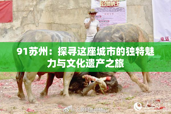 91苏州：探寻这座城市的独特魅力与文化遗产之旅