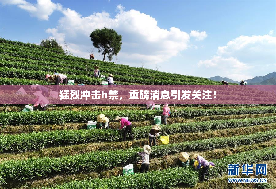 猛烈冲击h禁，重磅消息引发关注！