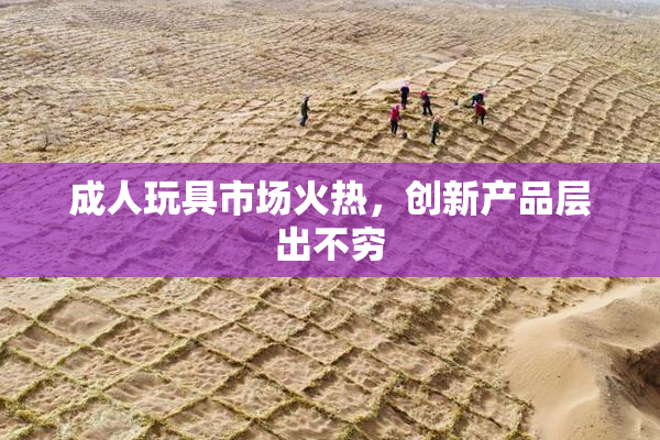 成人玩具市场火热，创新产品层出不穷