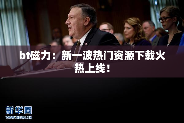 bt磁力：新一波热门资源下载火热上线！