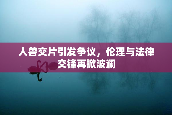 人兽交片引发争议，伦理与法律交锋再掀波澜