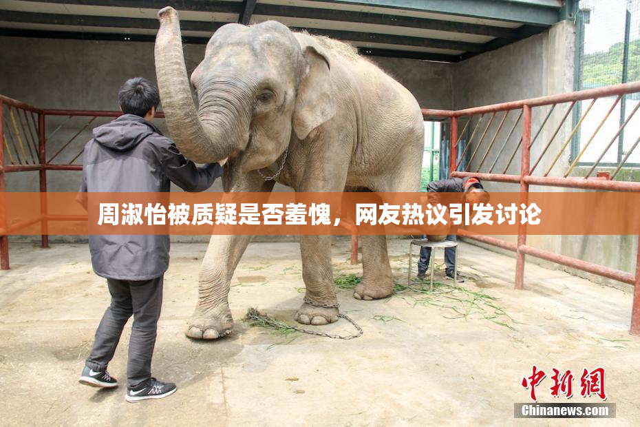 周淑怡被质疑是否羞愧，网友热议引发讨论