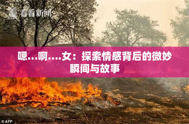 嗯…啊….女：探索情感背后的微妙瞬间与故事