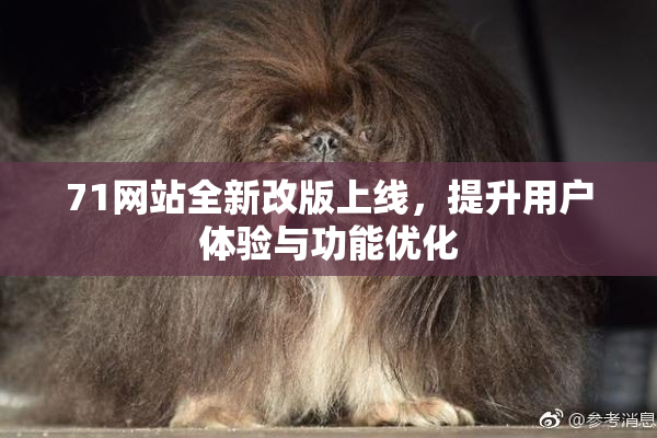 71网站全新改版上线，提升用户体验与功能优化