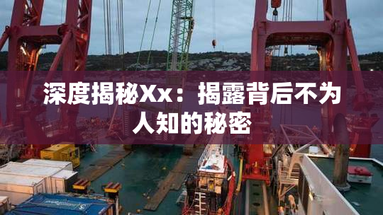 深度揭秘Xx：揭露背后不为人知的秘密