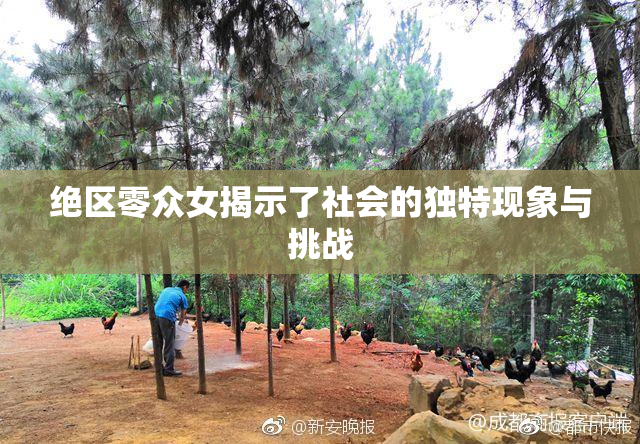 绝区零众女揭示了社会的独特现象与挑战