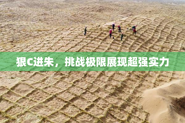 狠C进朱，挑战极限展现超强实力