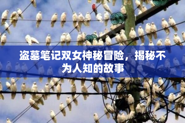 盗墓笔记双女神秘冒险，揭秘不为人知的故事