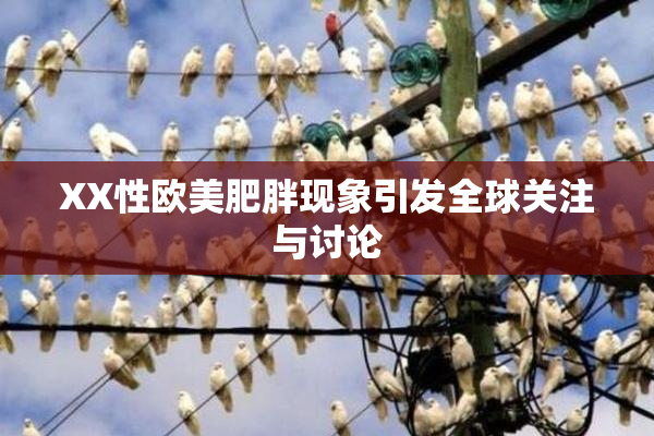 XX性欧美肥胖现象引发全球关注与讨论
