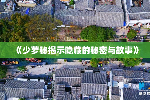 《少萝秘揭示隐藏的秘密与故事》